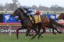 A jockey in blue-and-white silks rides a dark horse leading a race on a grassy track with colorful advertising hoardings in the background, closely followed by rivals.