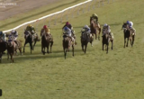 Group of thoroughbred horses racing down a turf track with jockeys in colorful silks; Thoroughbred Central watermark visible on top left.