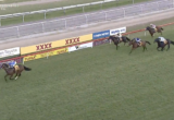 Horse race on a grassy track; lead horse in blue silks is just ahead of the pack near the finish, with advertising boards along the rail behind them.