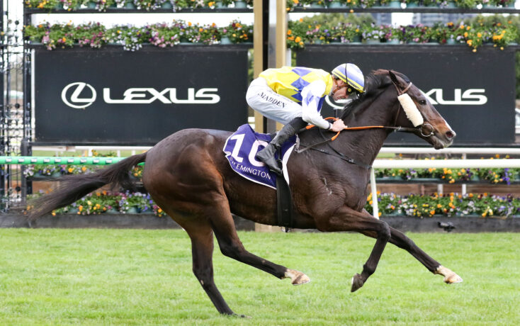 Jockey in yellow-blue silks riding a dark brown horse during a race, with Lexus banners and flower-filled background.