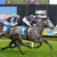 Grey racehorse with blue saddlecloth, jockey in dark silks, gallops on a grassy track during a race. Lead horse near camera with hurdle rails in view.