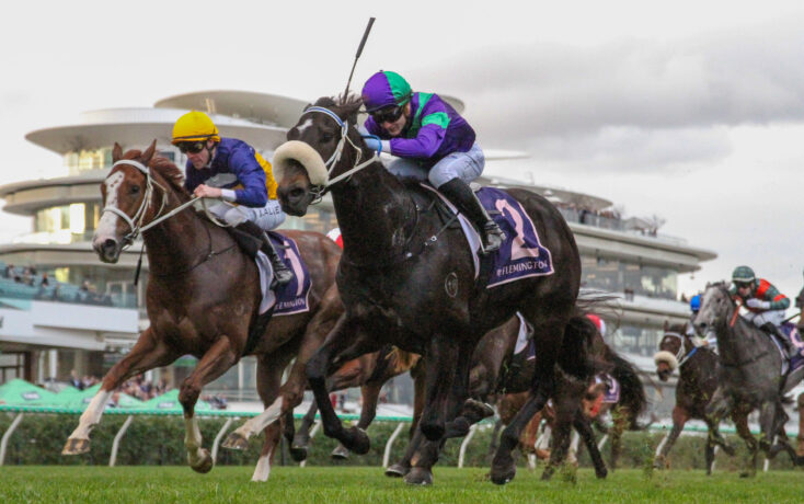 Jockeys in colorful silks race horses on a track, mid-jump with a stadium backdrop behind them, during a horse race.