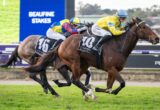Two thoroughbred racehorses sprint neck-and-neck on a turf track, jockeys in bright silks (yellow/blue and red/blue) pushing to the finish at the Beaufine Stakes display in the background.