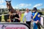 Woman in a black sleeveless top holds the reins of a brown horse beside a man in a striped shirt and a jockey in blue‑yellow silks at a sunny racecourse.