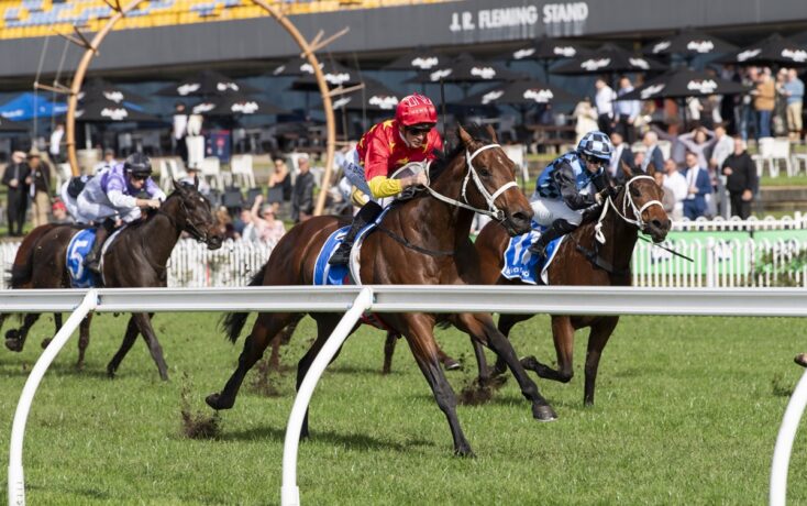 Jockeys and horses racing on a green turf track with a crowd in the background and 'J.R. Fleming Stand' signage visible in the stands.