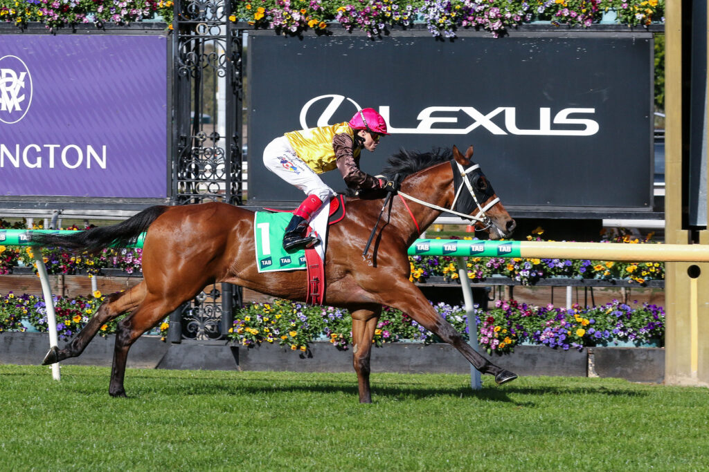 KO PHANGANV9AKO PHANGANKO PHANGAN74 | Just Horse Racing Jockey in pink cap and yellow silks riding a brown horse over a racetrack hurdle with a Lexus sign in the background.