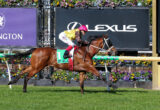 Jockey in pink cap and yellow silks riding a brown horse over a racetrack hurdle with a Lexus sign in the background.