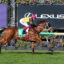 Jockey in pink cap and yellow silks riding a brown horse over a racetrack hurdle with a Lexus sign in the background.