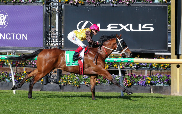 Jockey in pink cap and yellow silks riding a brown horse over a racetrack hurdle with a Lexus sign in the background.