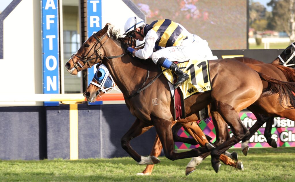 Two racehorses with jockeys lean forward as they sprint on a grassy track near a blue barrier with letters behind them.
