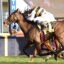 Two racehorses with jockeys lean forward as they sprint on a grassy track near a blue barrier with letters behind them.
