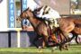 Two racehorses with jockeys lean forward as they sprint on a grassy track near a blue barrier with letters behind them.