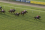 Thoroughbred horse race on a grassy turf track; a dark-colored horse leads the field while jockeys in colorful silks chase in a pack.