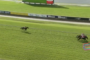 Two racehorses gallop on a bright green turf track toward the finish, jockeys leaning forward with banners along the railing in the background.