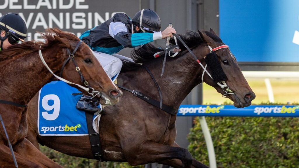 Horse racing scene: jockey in blue and black silks riding a brown horse wearing a blue saddlecloth with number 9, sprinting past the rail with another horse close behind.