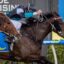 Horse racing scene: jockey in blue and black silks riding a brown horse wearing a blue saddlecloth with number 9, sprinting past the rail with another horse close behind.