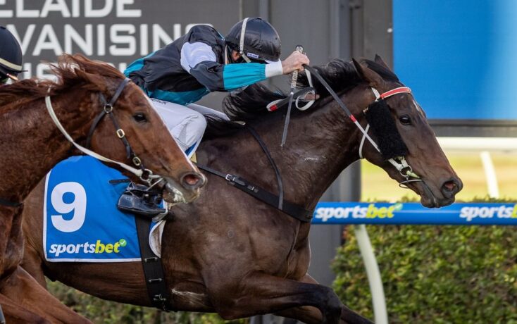 Horse racing scene: jockey in blue and black silks riding a brown horse wearing a blue saddlecloth with number 9, sprinting past the rail with another horse close behind.