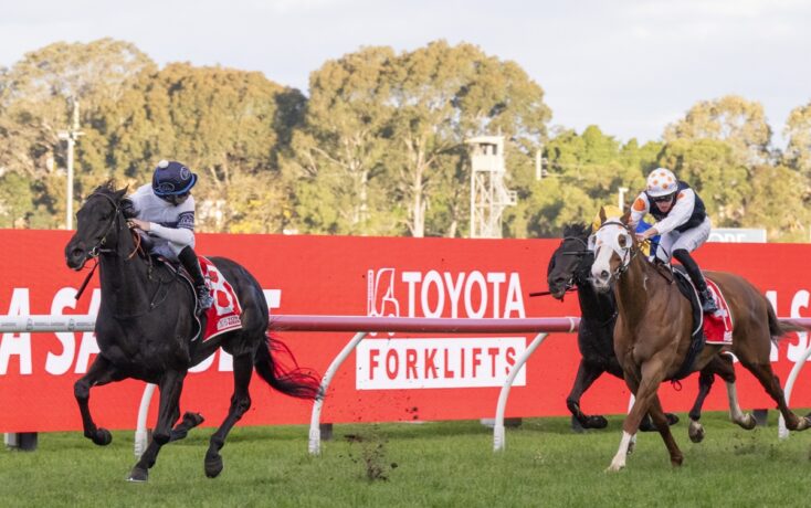 Two jockeys race on horseback toward a red advertising barrier during a horse race; black horse leads on left, chestnut horse on right.