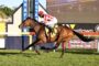 Horse and rider in mid-jump over a colorful racetrack obstacle with banners in the background.