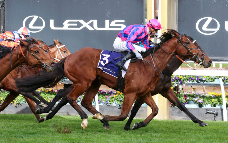 Jockeys in colorful silks racing on a grassy track with Lexus banners in the background.