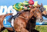 Two jockeys in green-yellow and red silks ride brown racehorses neck-and-neck on a sunny track, with a blue 'sportsbet' saddlecloth visible.