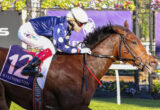 Jockey in blue polka-dot silks and white helmet riding a brown horse during a Flemington race.