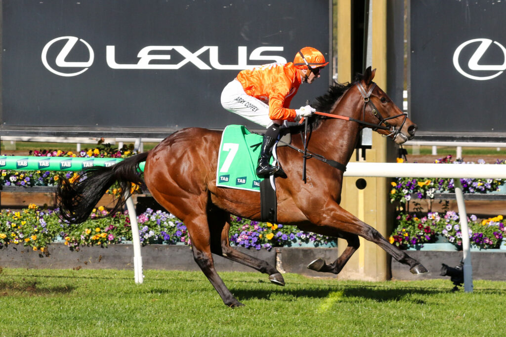Jockey in orange silks and helmet rides a galloping brown horse past a Lexus banner, green saddle cloth with number 7, vibrant flower beds nearby.