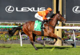 Jockey in orange silks and helmet rides a galloping brown horse past a Lexus banner, green saddle cloth with number 7, vibrant flower beds nearby.
