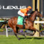RIVERINA LULUV9ARIVERINA LULU168 | Just Horse Racing Jockey in orange silks and helmet rides a galloping brown horse past a Lexus banner, green saddle cloth with number 7, vibrant flower beds nearby.