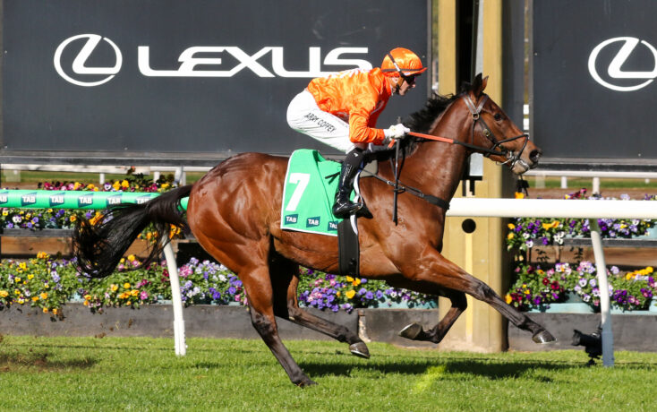 Jockey in orange silks and helmet rides a galloping brown horse past a Lexus banner, green saddle cloth with number 7, vibrant flower beds nearby.