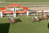 Horse race at Mackay Turf Club near the finish line, several jockeys on galloping horses with sponsor banners along the rails.