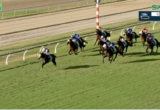 Horses racing on a green turf track with jockeys in colorful silks, near the inner rail under a bright sky.