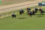 Horses racing on a green turf track with jockeys in colorful silks, near the inner rail under a bright sky.