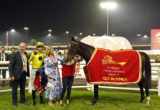 Nighttime paddock scene with a dark horse wearing a red blanket that reads Bahrain International Trophy; people in suits and a woman in a blue patterned dress surround the horse, smiling and photographing."