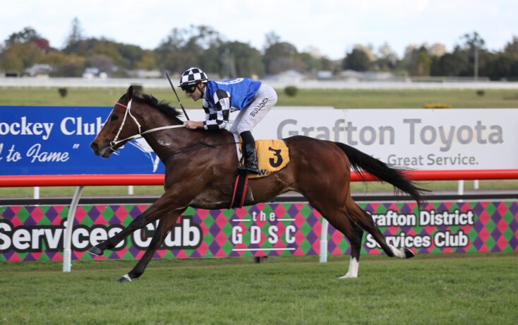 Horse and jockey sprint along a racetrack; colorful sponsor banners line the fence behind them.