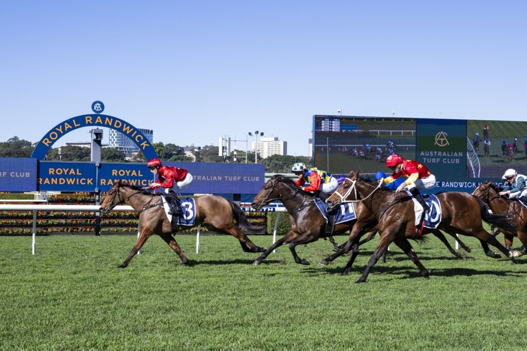 2335158.jpg | Just Horse Racing