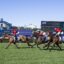 2335158.jpg | Just Horse Racing