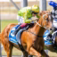 Two jockeys race neck-and-neck on galloping horses, leaning forward in colorful silks during a sunny horse race sunlit track filled with blur of the trackside.