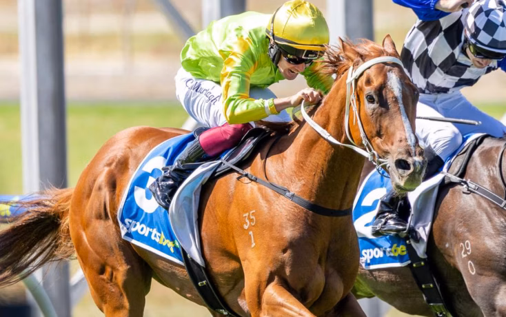 Two jockeys race neck-and-neck on galloping horses, leaning forward in colorful silks during a sunny horse race sunlit track filled with blur of the trackside.