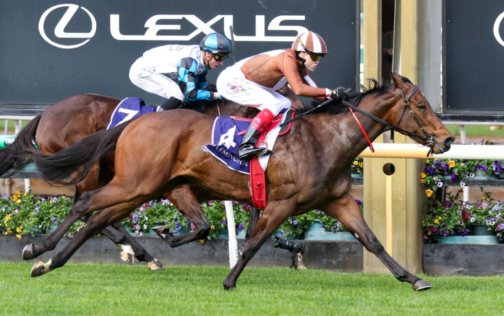 Two jockeys in blue and brown silks ride fast on brown horses during a horse race, with a Lexus sign in the background and colorful flower beds nearby.