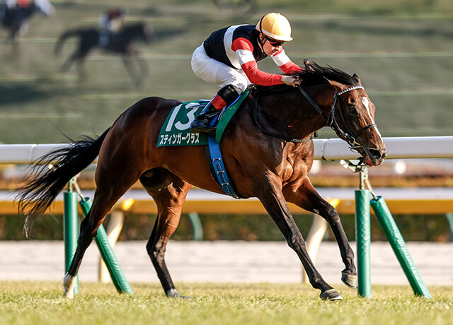 Horse and jockey sprint along a turf race track; jockey wears yellow helmet and red sleeves, number 5 saddle cloth visible on green.