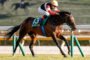 Horse and jockey sprint along a turf race track; jockey wears yellow helmet and red sleeves, number 5 saddle cloth visible on green.