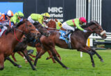 Jockeys in colorful silks race side-by-side on galloping thoroughbreds on a grassy turf track.