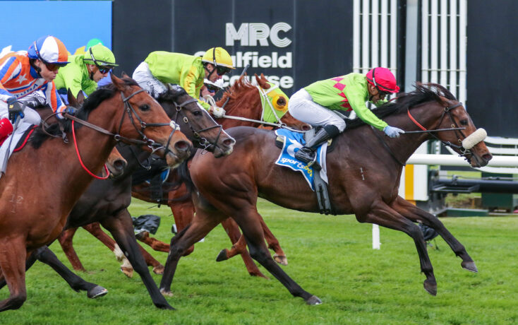 Jockeys in colorful silks race side-by-side on galloping thoroughbreds on a grassy turf track.