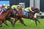 Jockeys in colorful silks race side-by-side on galloping thoroughbreds on a grassy turf track.