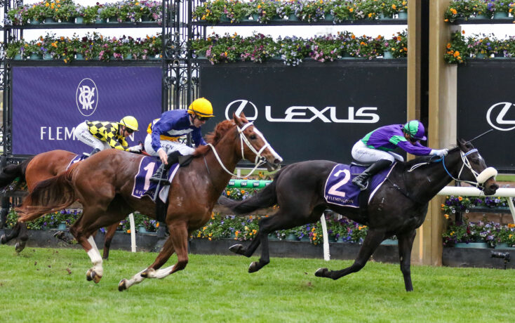 Horse race in progress with jockeys on galloping horses and a flower-lined background barrier behind. The scene includes riders in bright silks and a Lexus sign visible.