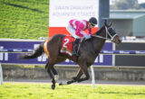 Jockey in pink and white silks rides a dark brown horse with saddle cloth number 2 during the Swan Draught Aquanita Stakes race on a green turf track, with advertising boards in the background.