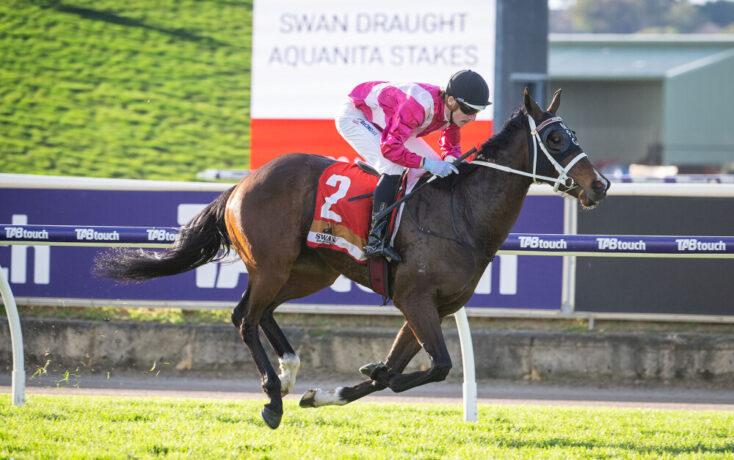 Jockey in pink and white silks rides a dark brown horse with saddle cloth number 2 during the Swan Draught Aquanita Stakes race on a green turf track, with advertising boards in the background.