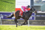 Jockey in pink and white silks rides a dark brown horse with saddle cloth number 2 during the Swan Draught Aquanita Stakes race on a green turf track, with advertising boards in the background.