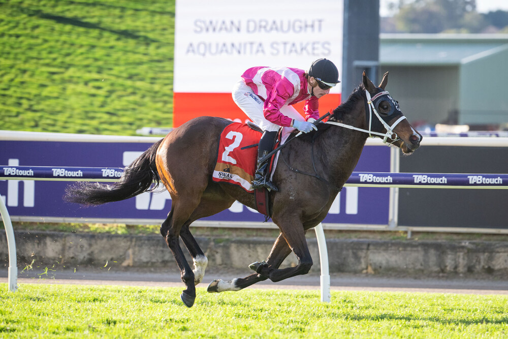 Jockey in pink and white silks rides a dark brown horse with saddle cloth number 2 during the Swan Draught Aquanita Stakes race on a green turf track, with advertising boards in the background.